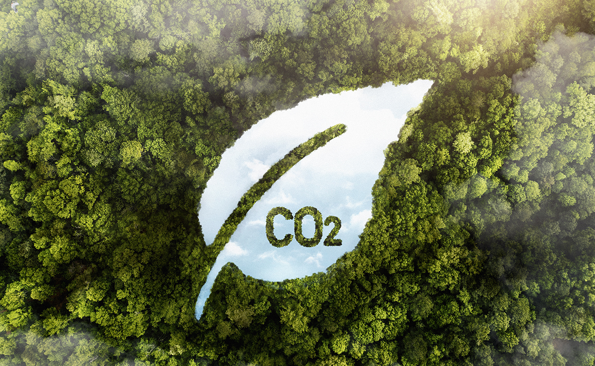 riduzione co2